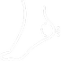 SVG Icon
